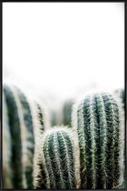 JUNIQE - Poster in kunststof lijst Cactus 1 -30x45 /Groen & Wit