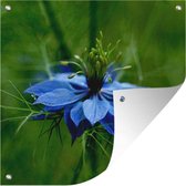 Tuindoek Een blauwe nigella op een groene achtergrond - 100x100 cm