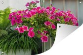 Tuinposter - Tuindoek - Tuinposters buiten - Hangende bloembak met petunia's - 120x80 cm - Tuin