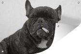 Muurdecoratie Hond - Dier - Roken - 180x120 cm - Tuinposter - Tuindoek - Buitenposter