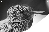 Muurdecoratie Zwart-wit foto van de kop van een Renkoekoek - 180x120 cm - Tuinposter - Tuindoek - Buitenposter