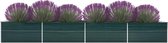 Medina Plantenbak verhoogd 600x80x77 cm gegalvaniseerd staal groen