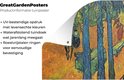 Image du produit 15