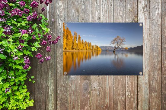 Arbres reflétant dans le lac Wanaka en Nouvelle-Zélande Affiche de jardin 60x40 cm - petit - Toile de jardin / Toile d'extérieur / Peintures pour l'extérieur (décoration de jardin)