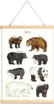 JUNIQE - Posterhanger Beren illustratie -40x60 /Bruin & Wit