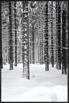 JUNIQE - Poster in kunststof lijst Deep Dark White Forest -40x60