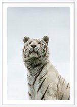 Poster Met Witte Lijst - Panthera Tigris Poster