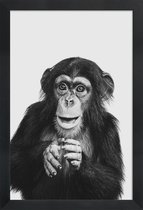 JUNIQE - Poster in houten lijst Chimpanzee II -60x90 /Grijs & Zwart