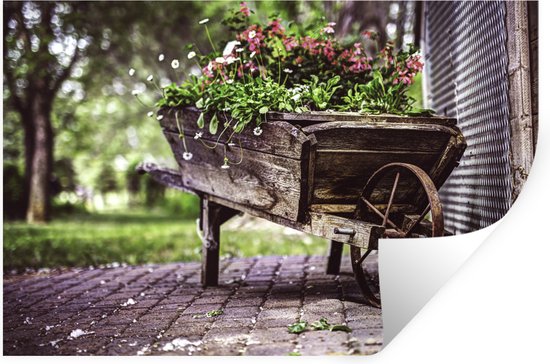 Sticker Muursticker Brouettes avec fleurs - brouette ancienne utilisée comme bac à fleurs - 60x40 cm - feuille autocollante - sticker mural repositionnable