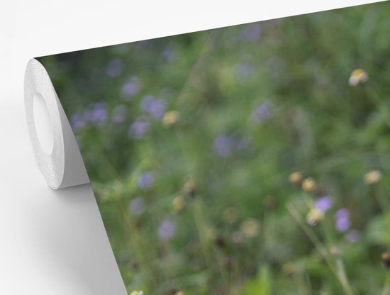 Papier peint photo peint photo vinyle - Hérisson sur souche d'arbre largeur 360 cm x hauteur 240 cm - Tirage photo sur papier peint (disponible en 7 tailles)