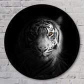 Muurcirkel ⌀ 40 cm - Eye of the tiger - Aluminium Dibond - Dieren - Rond Schilderij - Wandcirkel - Wanddecoratie