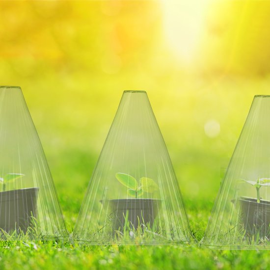 relaxdays 48 x chapeau de plante - chapeau de plante - protection des plantes - cloche de plante