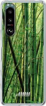 6F hoesje - geschikt voor Sony Xperia 5 III -  Transparant TPU Case - Bamboo #ffffff