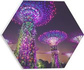 WallClassics - Plaque de Mousse PVC Hexagone - Parc Naturel de Nuit - Singapour - 30x26,1 cm Photo sur Hexagone (Avec Système d'accrochage)