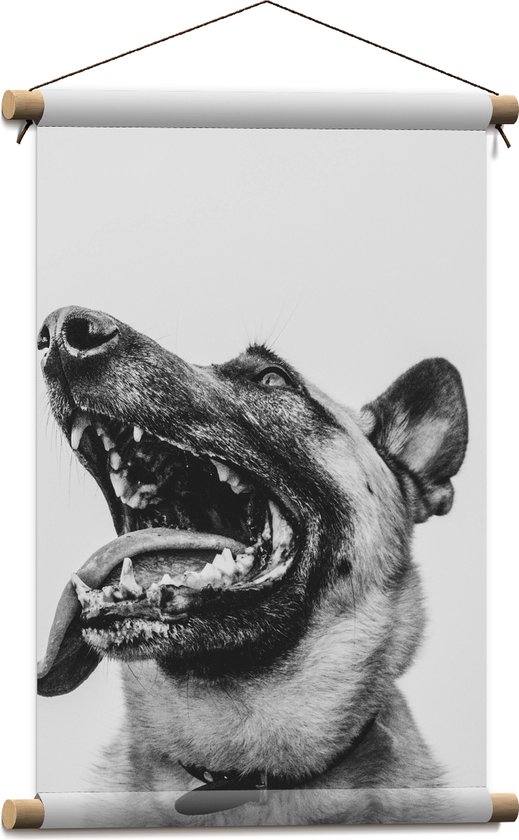 WallClassics - Textielposter - Hond met uitstekende Tong - Herdershond - 40x60 cm Foto op Textiel