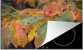 KitchenYeah® Inductie beschermer 77x51 cm - Herfst kleuren van de sassafras bladeren - Kookplaataccessoires - Afdekplaat voor kookplaat - Inductiebeschermer - Inductiemat - Inductieplaat mat