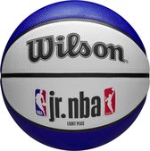 Wilson Jr NBA DRV Light Fam Logo Ball WZ3013201XB, Unisexe, Wit, Basketball, Taille : 5