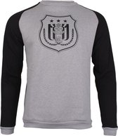 Casual grijze sweater RSC Anderlecht met logo maat Medium