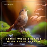 House Wren Singing Near River Stream