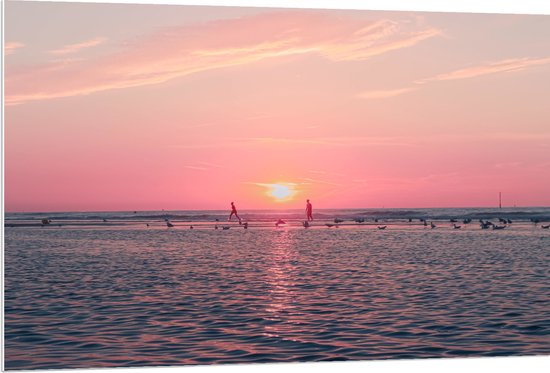 PVC Schuimplaat- Roze Zonsondergang aan Zee met Meeuwen - 120x80 cm Foto op PVC Schuimplaat