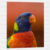 WallClassics - Muursticker - Blijkijkende Papegaai met Felle Kleuren - 60x80 cm Foto op Muursticker