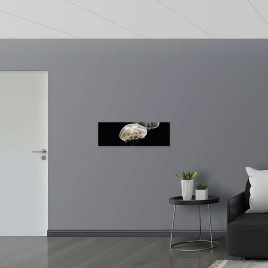 WallClassics - Poster (Matte) - Méduse Witte sur Fond Noir - Photo 90x30 cm sur Papier Poster à l'Aspect Mat