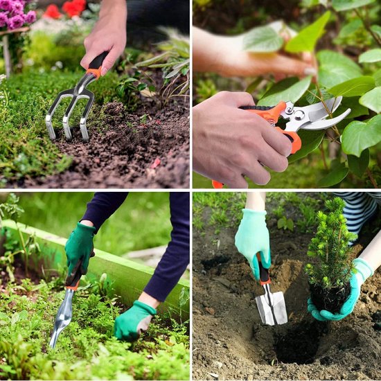 Tips voor het verpotten van kamerplanten