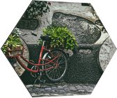 WallClassics - Dibond Hexagon - Rode Fiets versierd met Planten tegen Stenen Muur - 70x60.9 cm Foto op Hexagon (Met Ophangsysteem)