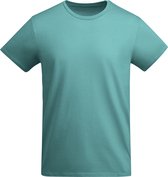 Blauw / Groen 2 pack t-shirts BIO katoen Model Breda merk Roly maat 6 110-116