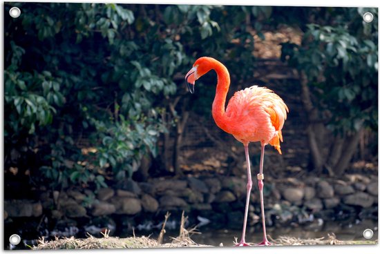 Tuinposter – Staande Roze Flamingo - 75x50 cm Foto op Tuinposter (wanddecoratie voor buiten en binnen)