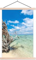 Posterhanger incl. Poster 60x90 cm - Schoolplaat - Strand - Takken - Tropisch - Zee - Textielposter - Blanke latten