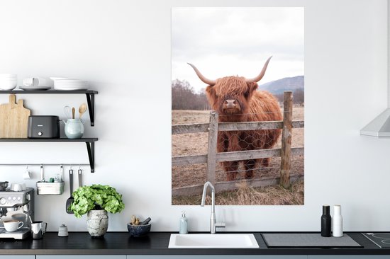 Curious Scottish Highlander poster paper 80x120 cm - Tirage photo sur Poster (décoration murale salon / chambre) / Poster animaux sauvages