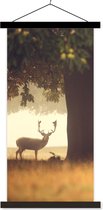 Porte-affiche avec affiche - Affiche scolaire - Cerf - Arbres - Forêt - 40x80 cm - Lattes noires