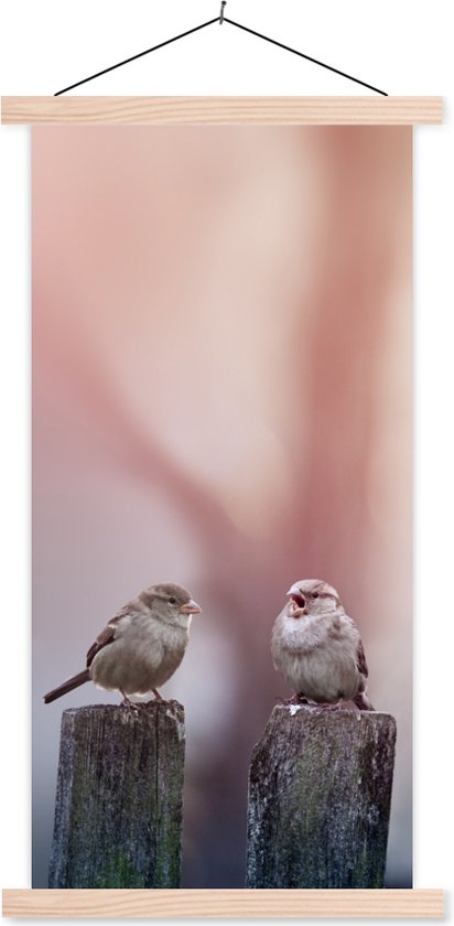 Porte-affiche avec affiche - Affiche scolaire - Vogels - Moineaux - Poteaux - Bois - 90x180 cm - Lattes vierges