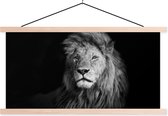 Porte-affiche avec affiche - Affiche scolaire - Animaux sauvages - Lion - noir - Wit - 120x60 cm - lattes vierges