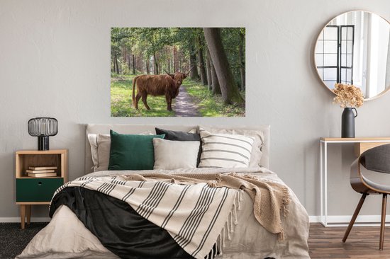 Affiche Highlander écossais - Chemin - Arbre - 120x80 cm