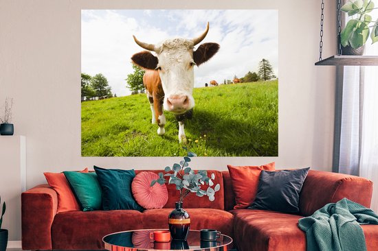 Poster Vache - Lumière - Ombre - 160x120 cm XXL