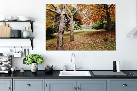 Tableau sur toile Automne - Arbres - Feuilles - nature - 140x90 cm - Décoration murale
