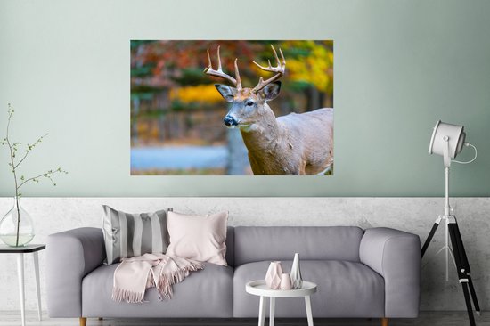 Cerf avec la tête dans l'air poster papier 120x80 cm - Tirage photo sur Poster (décoration murale salon / chambre) / Poster Animaux sauvages