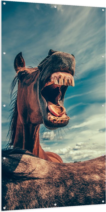 Tuinposter – Paard met Open Bek - 100x200 cm Foto op Tuinposter (wanddecoratie voor buiten en binnen)
