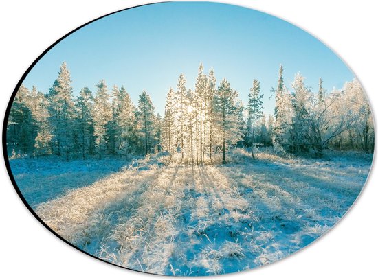 Dibond Ovaal - Ochtend Zonnestralen over Wit Sneeuwlandschap - 28x21 cm Foto op Ovaal (Met Ophangsysteem)