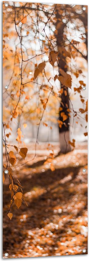 Tuinposter – Herfstbladeren aan Tak Hangend in Bos met Zonnestralen - 50x150 cm Foto op Tuinposter (wanddecoratie voor buiten en binnen)