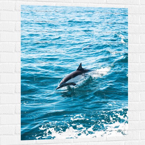 WallClassics - Muursticker - Dolfijn Zwemmend in de Zee - 75x100 cm Foto op Muursticker