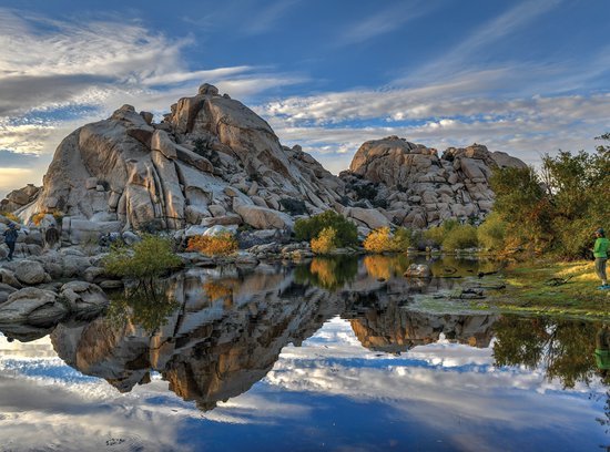Inductieplaat Beschermer - Rotsen aan het Water bij Joshua Tree National Park overdag - 70x52 cm - 2 mm Dik - Inductie Beschermer van Vinyl