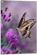 Tuinposter – Vlinder op de Paarse Bloemen - 60x80 cm Foto op Tuinposter (wanddecoratie voor buiten en binnen)