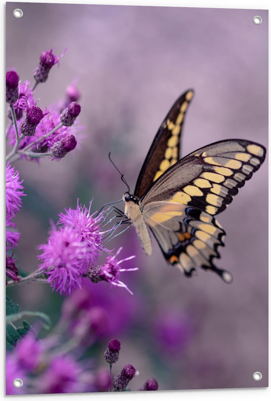 Tuinposter – Vlinder op de Paarse Bloemen - 60x80 cm Foto op Tuinposter (wanddecoratie voor buiten en binnen)