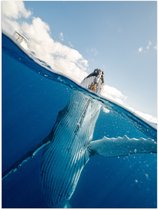 Poster Glanzend – Zwaaiende Walvis aan het Wateroppervlak - 30x40 cm Foto op Posterpapier met Glanzende Afwerking