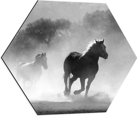 WallClassics - Dibond Hexagon - Galoperende Paarden bij het Bos (Zwart-wit) - 60x52.2 cm Foto op Hexagon (Met Ophangsysteem)