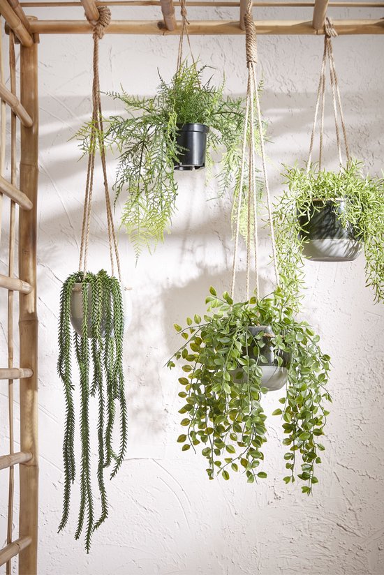 Verschillende groene hangplanten in potten, bevestigd aan een bamboe structuur.
