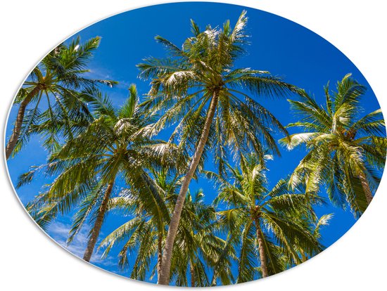 PVC Schuimplaat Ovaal - Palmbomen met een Helder Blauwe Lucht - 80x60 cm Foto op Ovaal (Met Ophangsysteem)